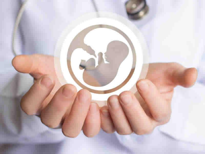Fertility
